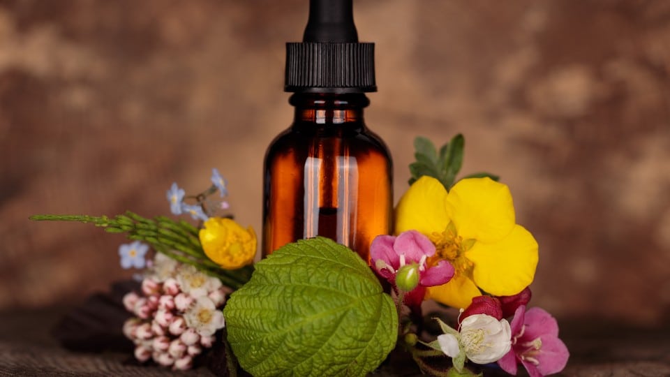 Bachblüten Ascendium Akademie Heilpraktikerschule